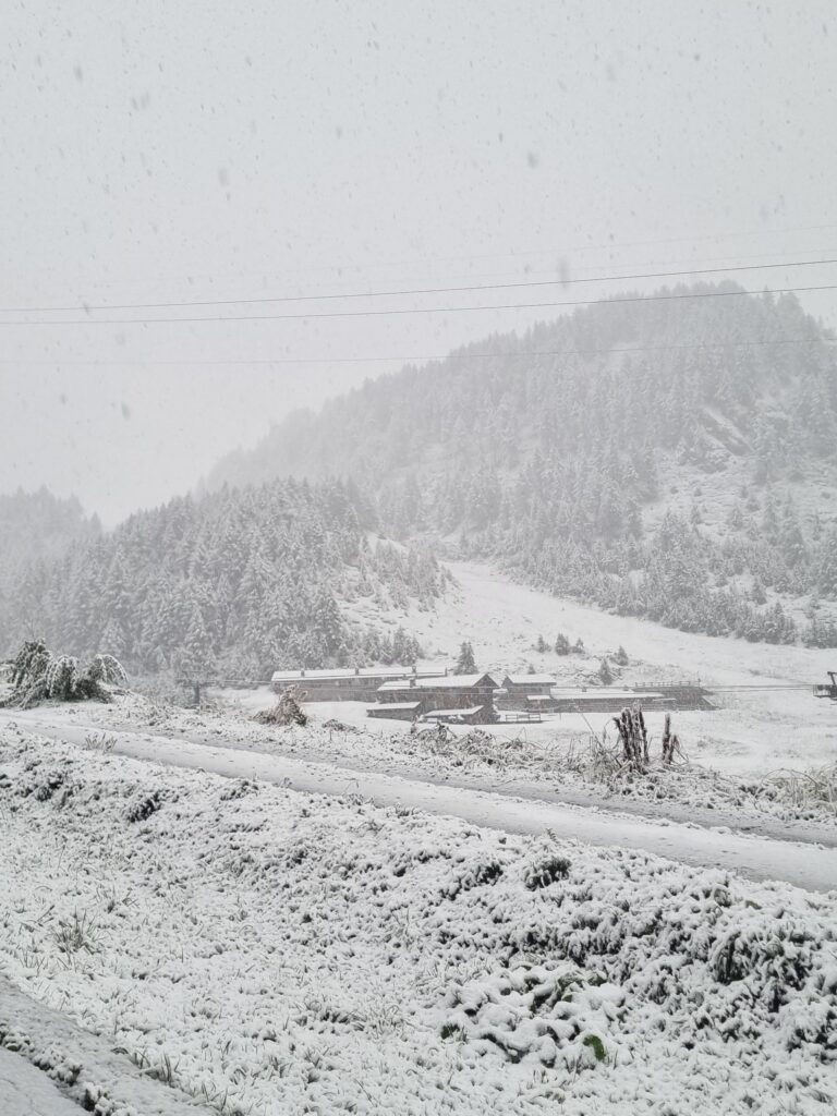 Prvé sneženie tejto jesene je tu! Susedné štáty sa zobudili do bieleho rána