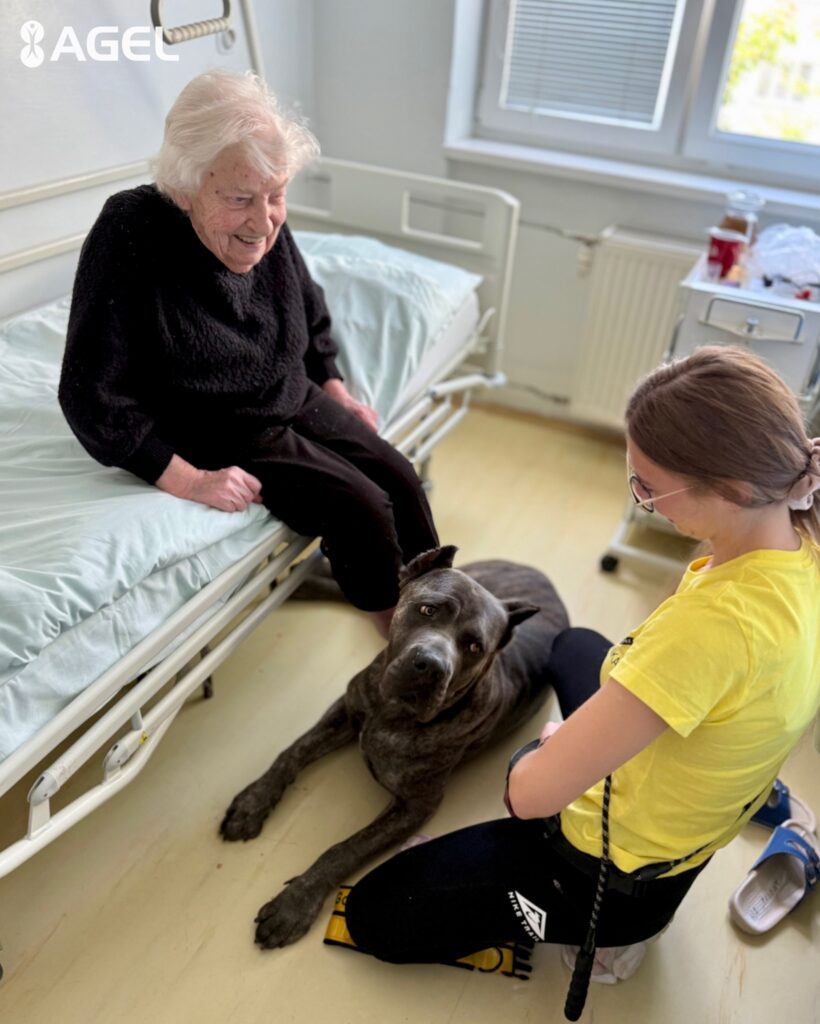 V Kežmarskej nemocici majú netradičného terapeuta - psíka Gora. Prináša úsmev seniorom aj deťom