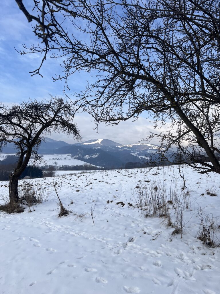 Horoskop na víkend 10. a 11. január 2026: Pozrite sa, čo vás čaká