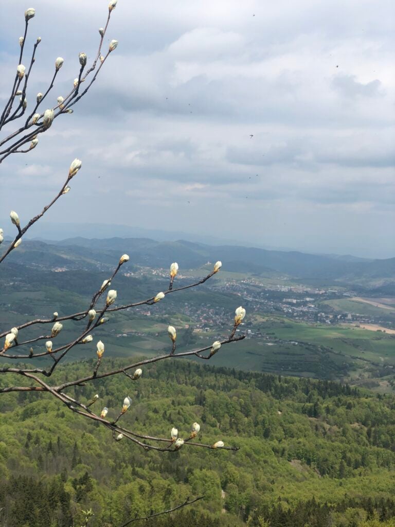 Zbohom, mrazy! Na Slovensko oficiálne dorazila meteorologická jar: Čo nás čaká v najbližších dňoch?