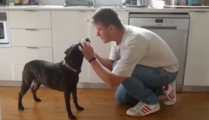 Keď veda narazila na dno, pomohla umelá inteligencia: Majiteľ zachránil psa vlastnou „AI vakcínou“