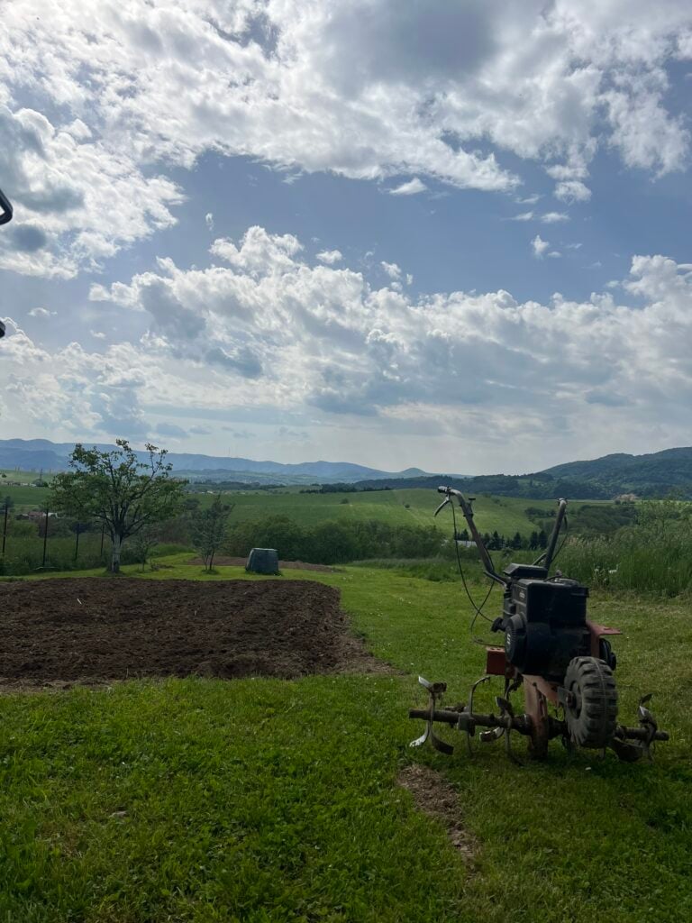 Jarný reštart vašej záhrady: Prečítajte si manuál a zistite, čo musíte urobiť ako prvé!