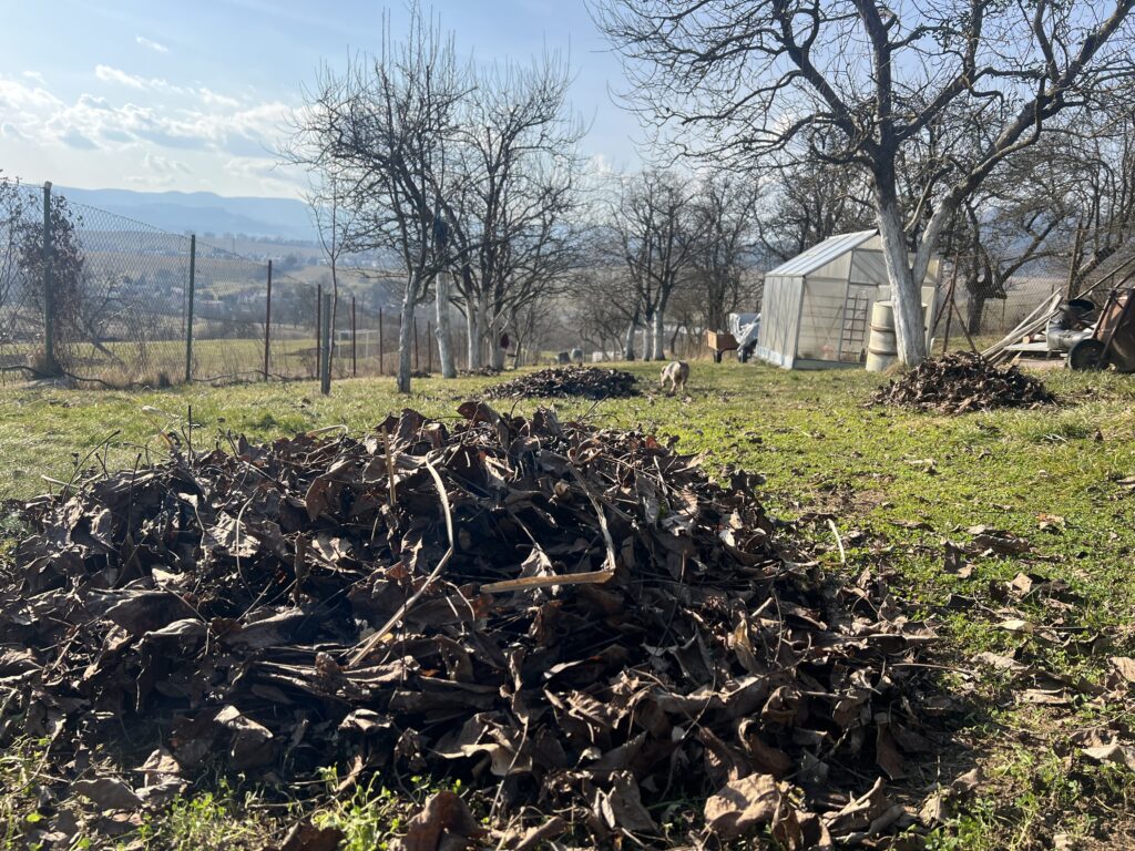 Zlatý poklad pod nohami: Nevyhadzujte staré lístie, vaša záhrada ho potrebuje viac ako vy