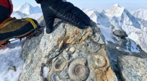 Šokujúce tajomstvo: Najvyšší bod našej planéty Mount Everest bol kedysi hlboko pod morskou hladinou!