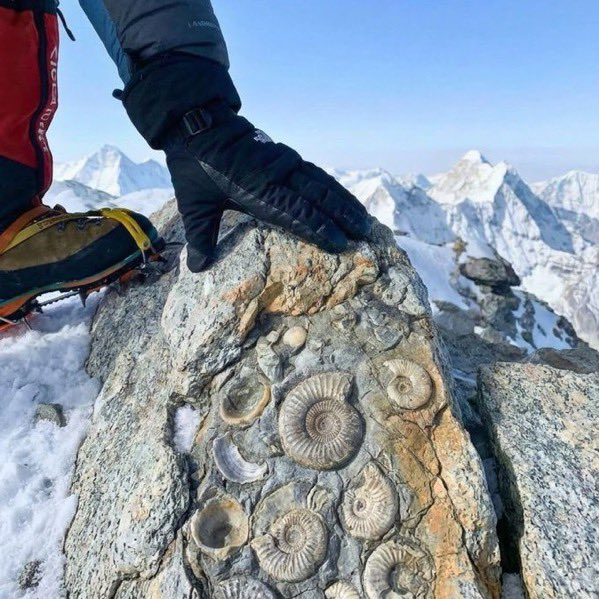 Šokujúce tajomstvo: Najvyšší bod našej planéty Mount Everest bol kedysi hlboko pod morskou hladinou!